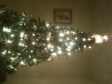 Christmas tree with twinkling lights