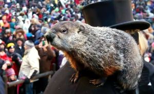 groundhog20day20livestream